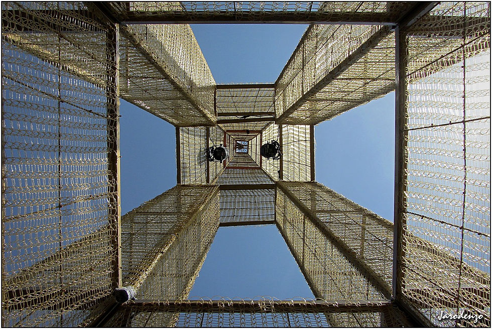 2024 - Le dessous de la tour