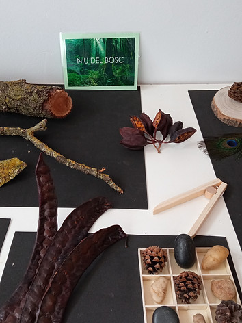 Niu del Bosc (1).jpg