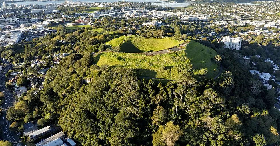 Aerial view of Mount Eden crater on New Zealand Day Tours