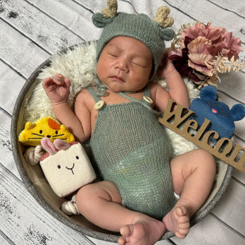 

Welcome Baby 