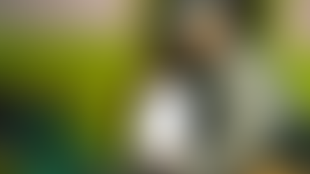 Send a letter to your sponsored child. They will absolutely love it.