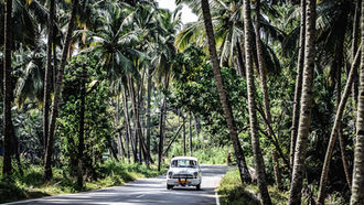 Steve Durban: A life affirming adventure in South India 2008