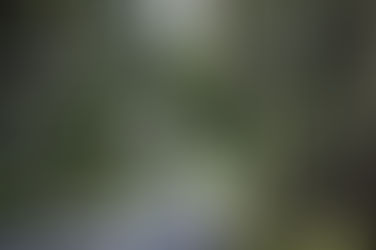 Steve Durban: A life affirming adventure in South India 2008