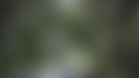 Steve Durban: A life affirming adventure in South India 2008