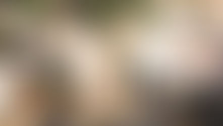 How Your Support Changes Lives