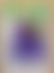 Stories From the Field. Adventure Ashram Returned Volunteer Rebecca Smith Brings Back Hand Drawn Pic