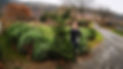andy with tree_edited.jpg