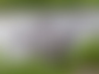 UNE PISCINE AU MILIEU DES RIZIERES ...