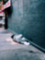 A person sleeps on the street