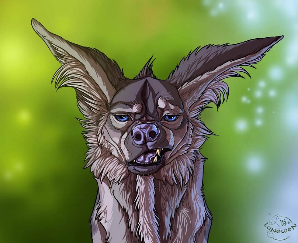 wellow portrait.png