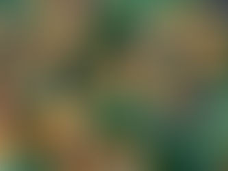 Eating the Rainbow - All Things Green