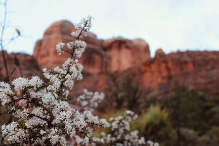 Sedona, AZ