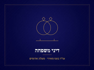 גירושין בהסכמה: איך מגיעים להסכם ומה הוא כולל – עו"ד בועז מאירי