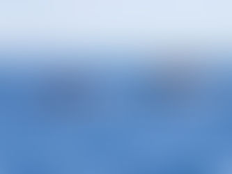 Puerto Vallarta da la bienvenida a las Ballenas