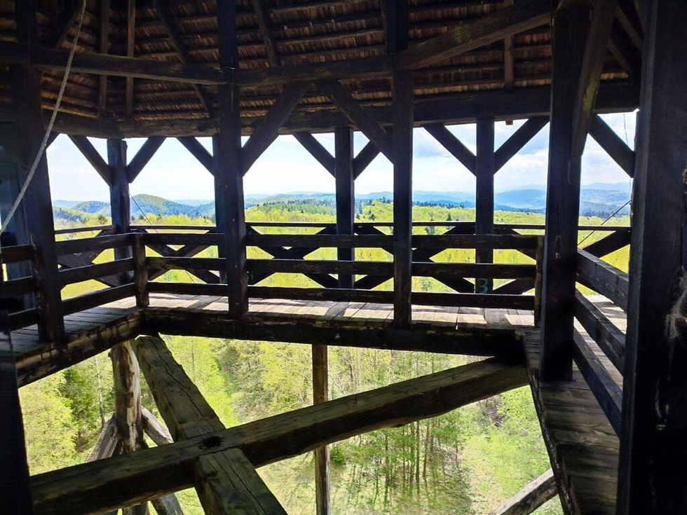 Оглядовий майданчик вежі Пам'яті