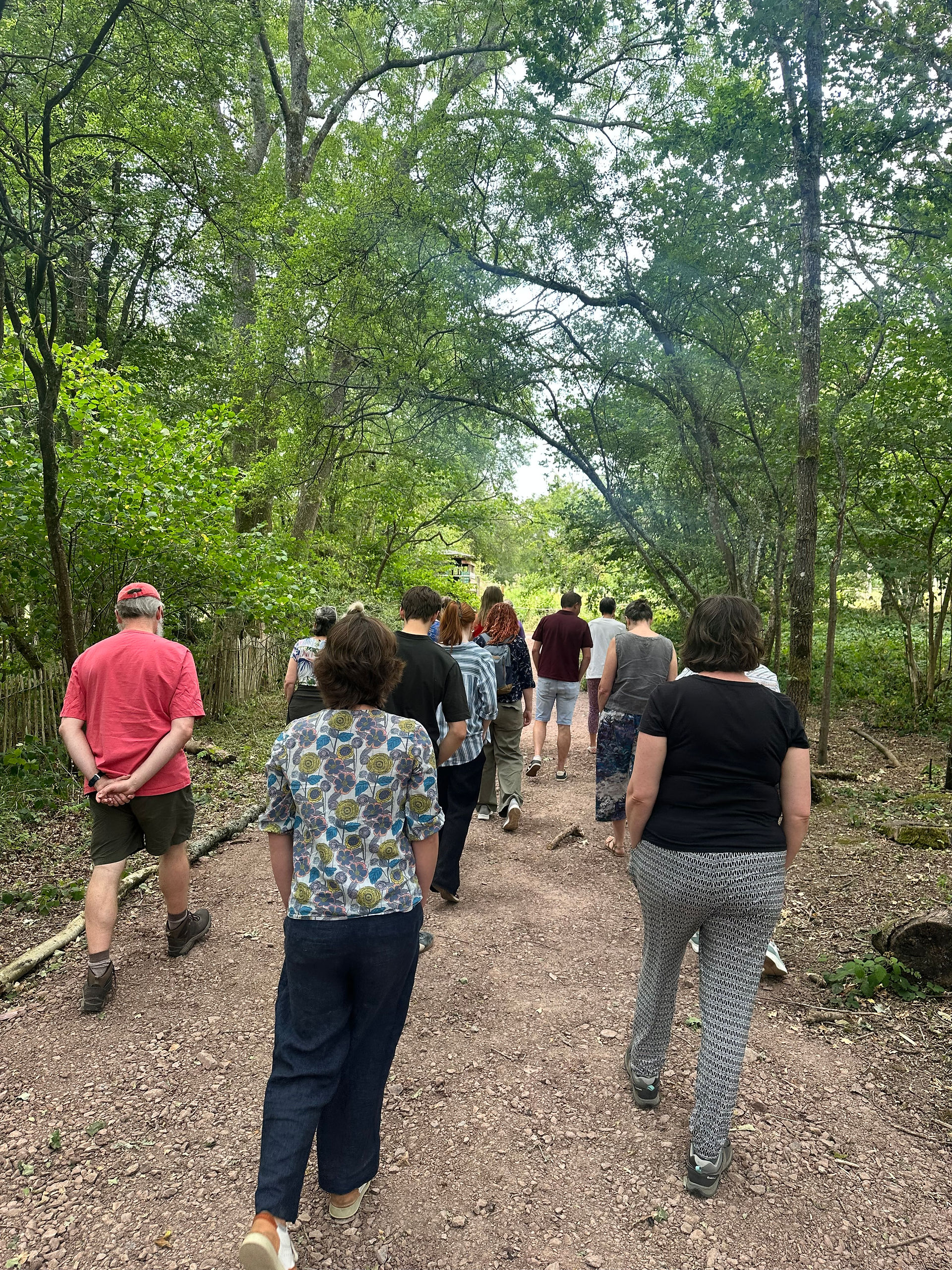 Taking a slow walk to Forest Bathe