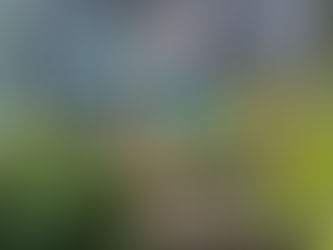 Person planting plants in a town centre planter using a fork