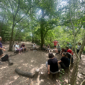 Group discussion about Forest Bathing