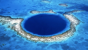 belize Exception.png