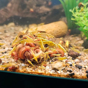 3b5c5f8d-db2a-4497-bca3-4f66ce2d744d (1).jfif