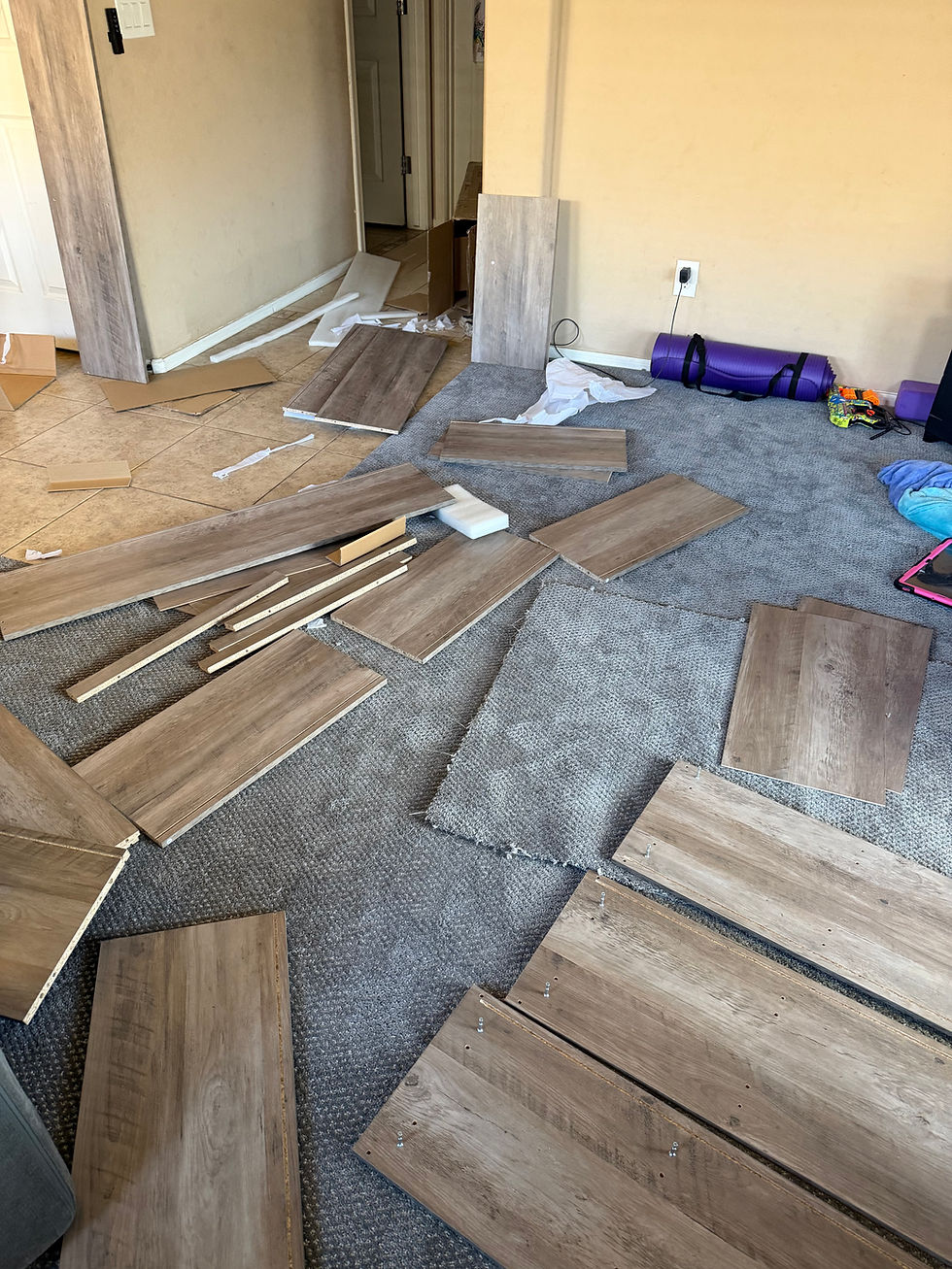 Before Shelf.jpeg
