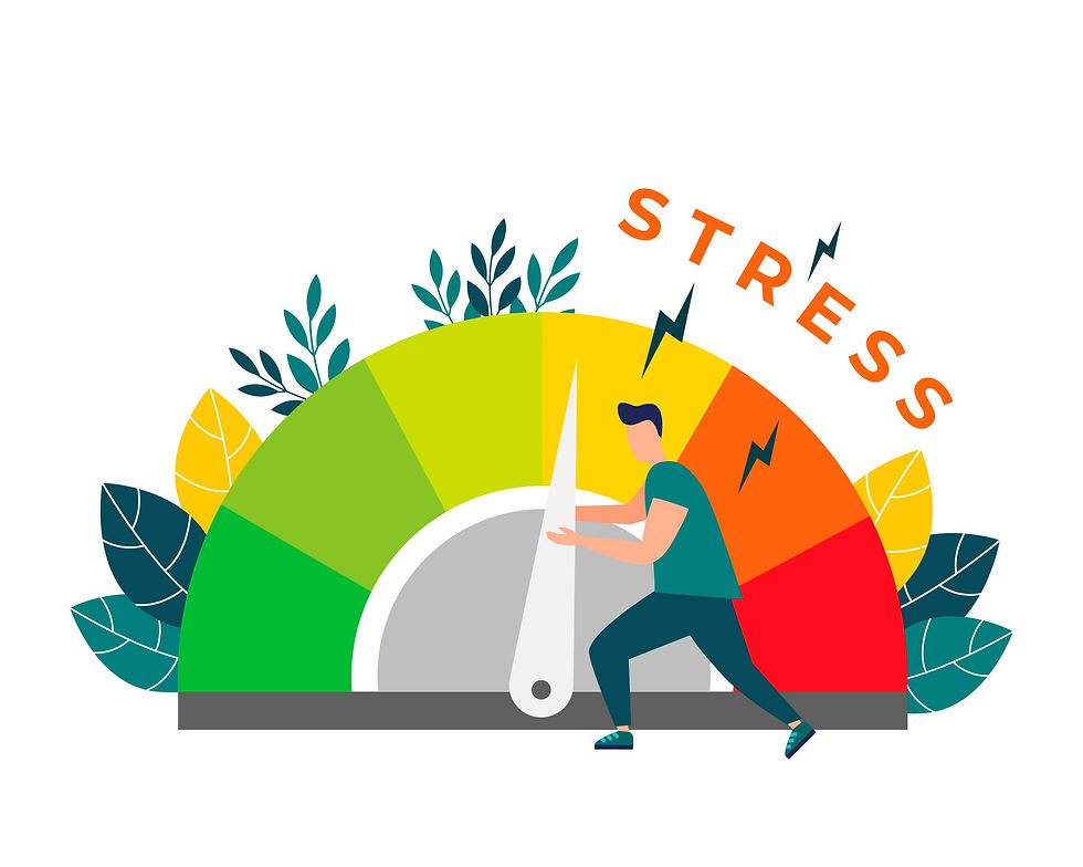 Stress Management: 360 Wellness