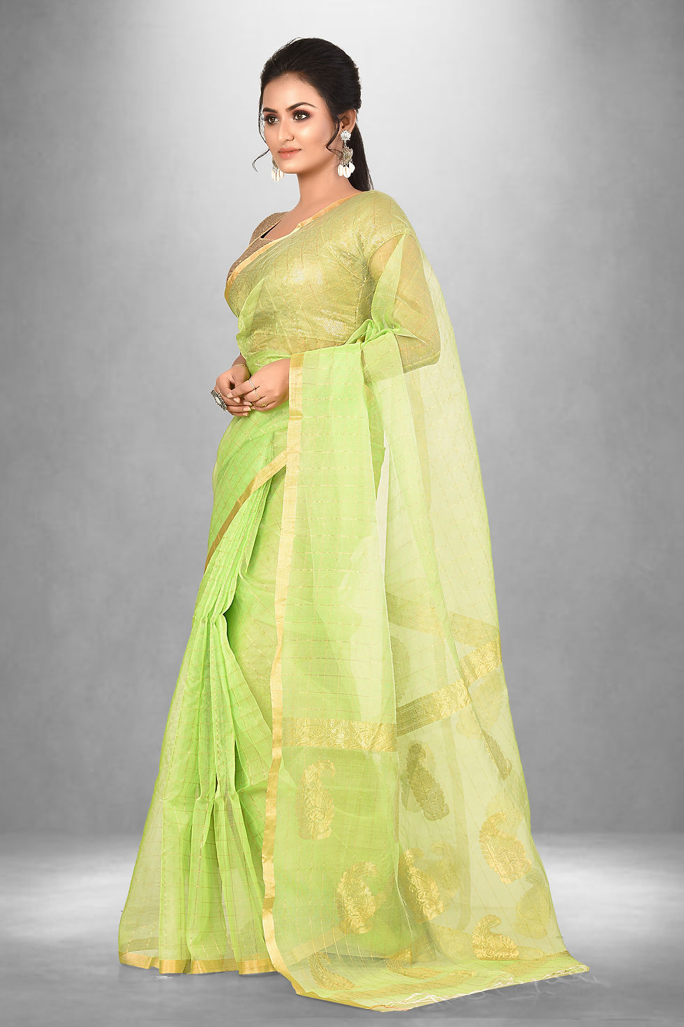 Light Green  Tissue Saree