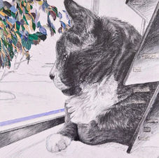 Graphite drawing of a cat looking out a window at a bird in a tree made of collage material. 