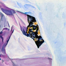 Oil painting of a cat peaking through tissue paper.