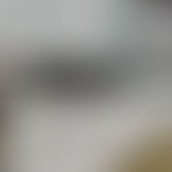 新焼却場の内覧会