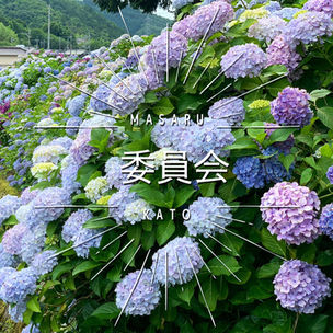 委員会