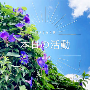 本日の活動