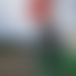 消火栓等の確認