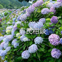 市民相談