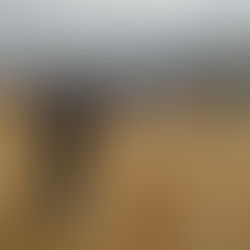 鯖江市市議会議長杯ソフトボール