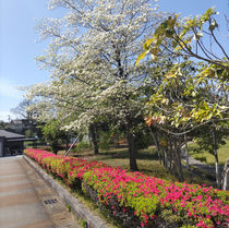 「文化の館」へ