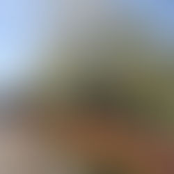 「文化の館」へ