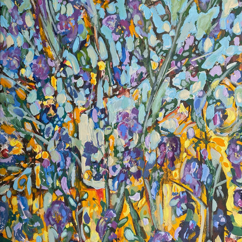 Morning Light, Purple Iris