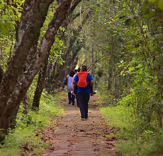 Kumarakom Bird Sanctuary.jpg