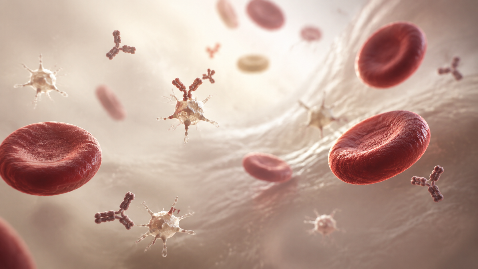Illustration of platelets and antibodies in immune thrombocytopenia