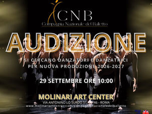                    AUDIZIONE