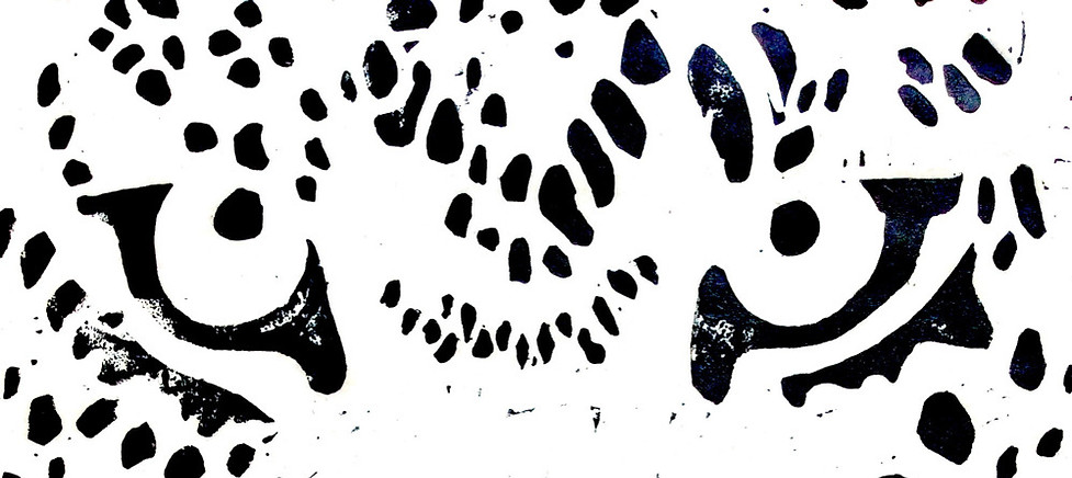 affiche jaguars de malibu