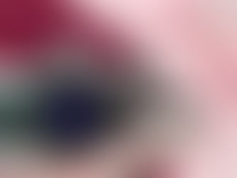¿Cómo elegir tu primera cámara profesional para fotografía artística?
