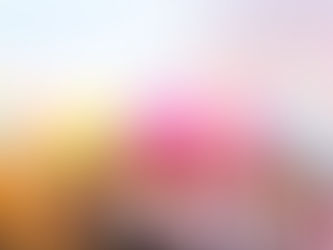 Fundamentos de la fotografía ¿Cómo tomar una “buena imagen”?