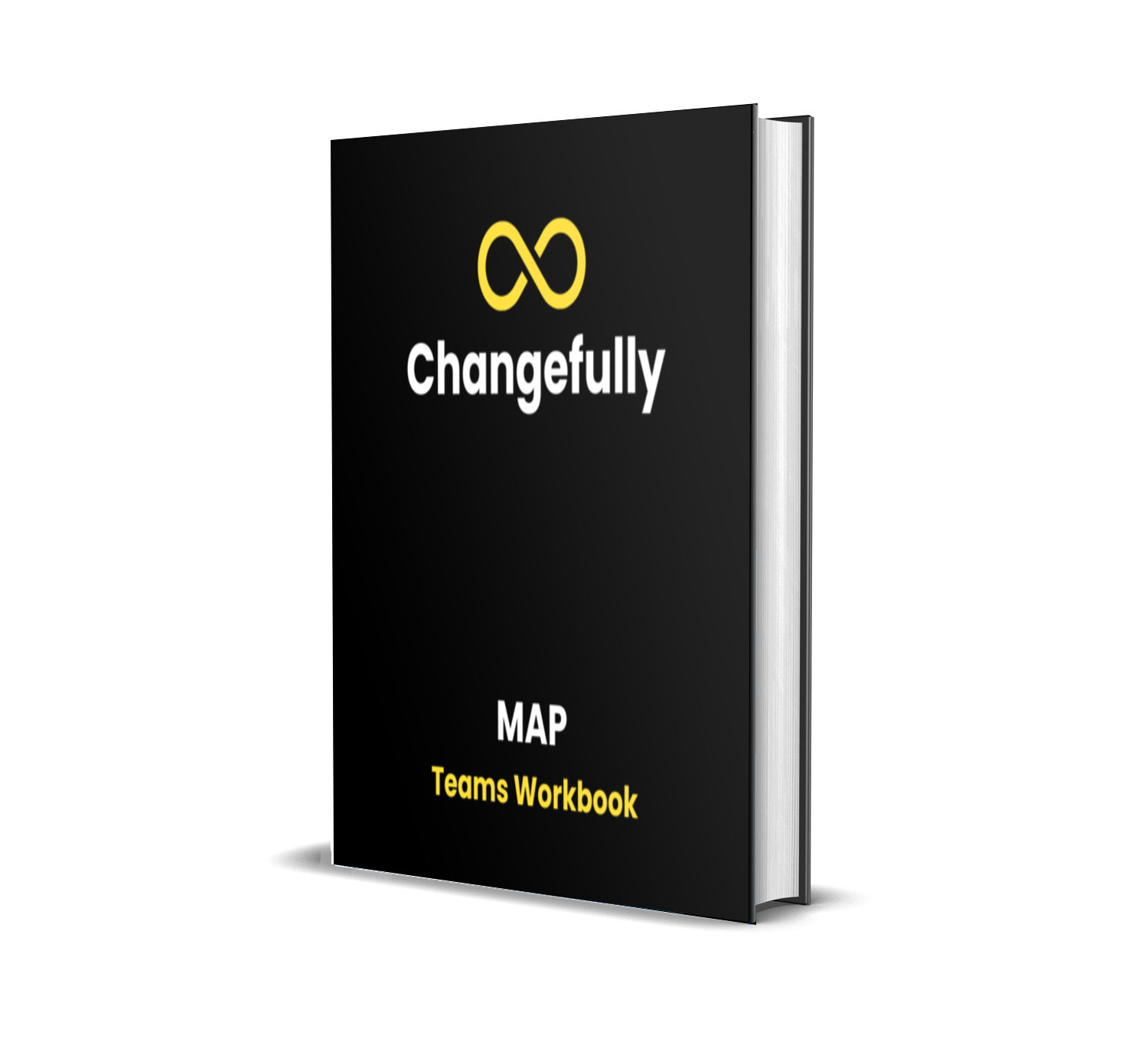 MAP for Teams: Workbook & Facilitator’s Guide