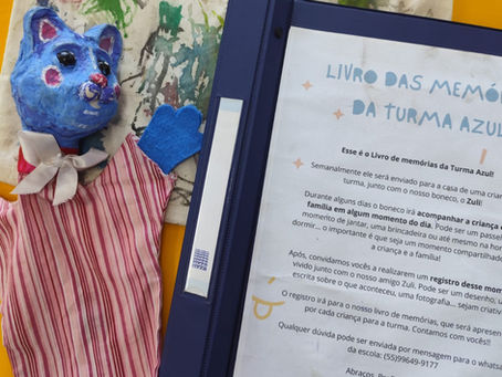 Zuli e o Livro de Memórias