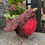 Thumbnail: Christmas : Festive Brushwood Robin Planter   P