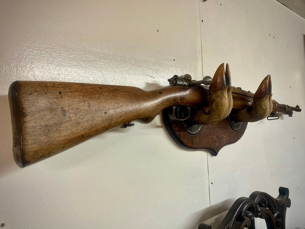 Thumbnail: Taxidermy Deer Hoof Feet Wall Mounted Hunting Decor Gun Rack or Coat Hook