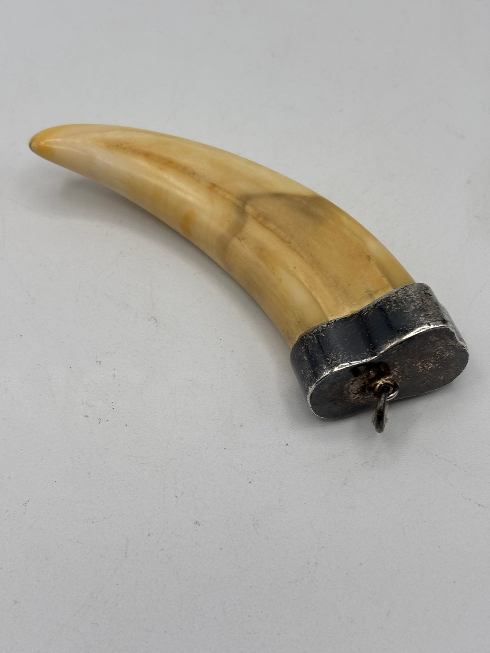 Thumbnail: Vintage Silver Topped Wild Boar Tooth/Tusk Pendant on a 18” Leather Cord. 