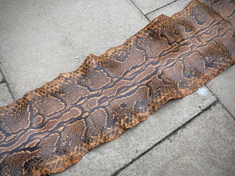 Thumbnail: 14 Foot Long Burmese Python Skin
